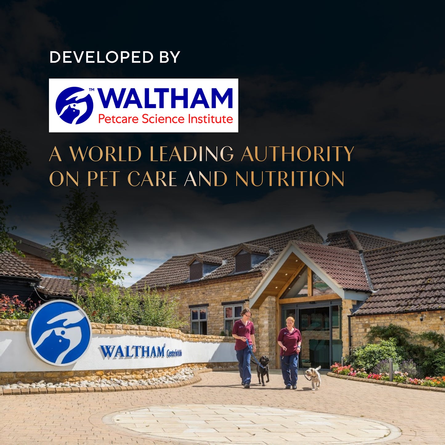 Sheba Katsuo Pate Wet Food For Adult Cat - 70 gm - Heads Up For Tails