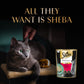 Sheba Katsuo Pate Wet Food For Adult Cat - 70 gm - Heads Up For Tails