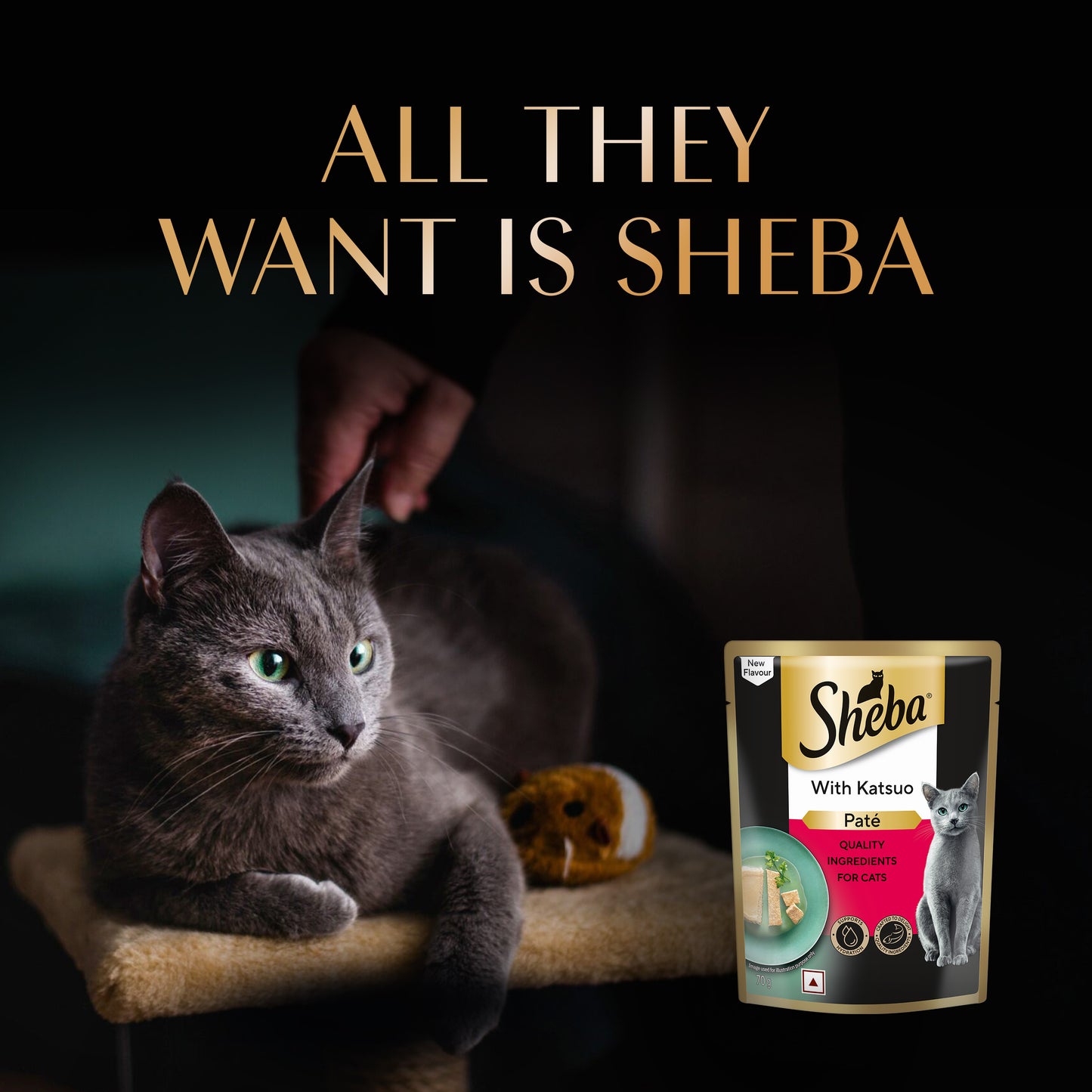 Sheba Katsuo Pate Wet Food For Adult Cat - 70 gm - Heads Up For Tails