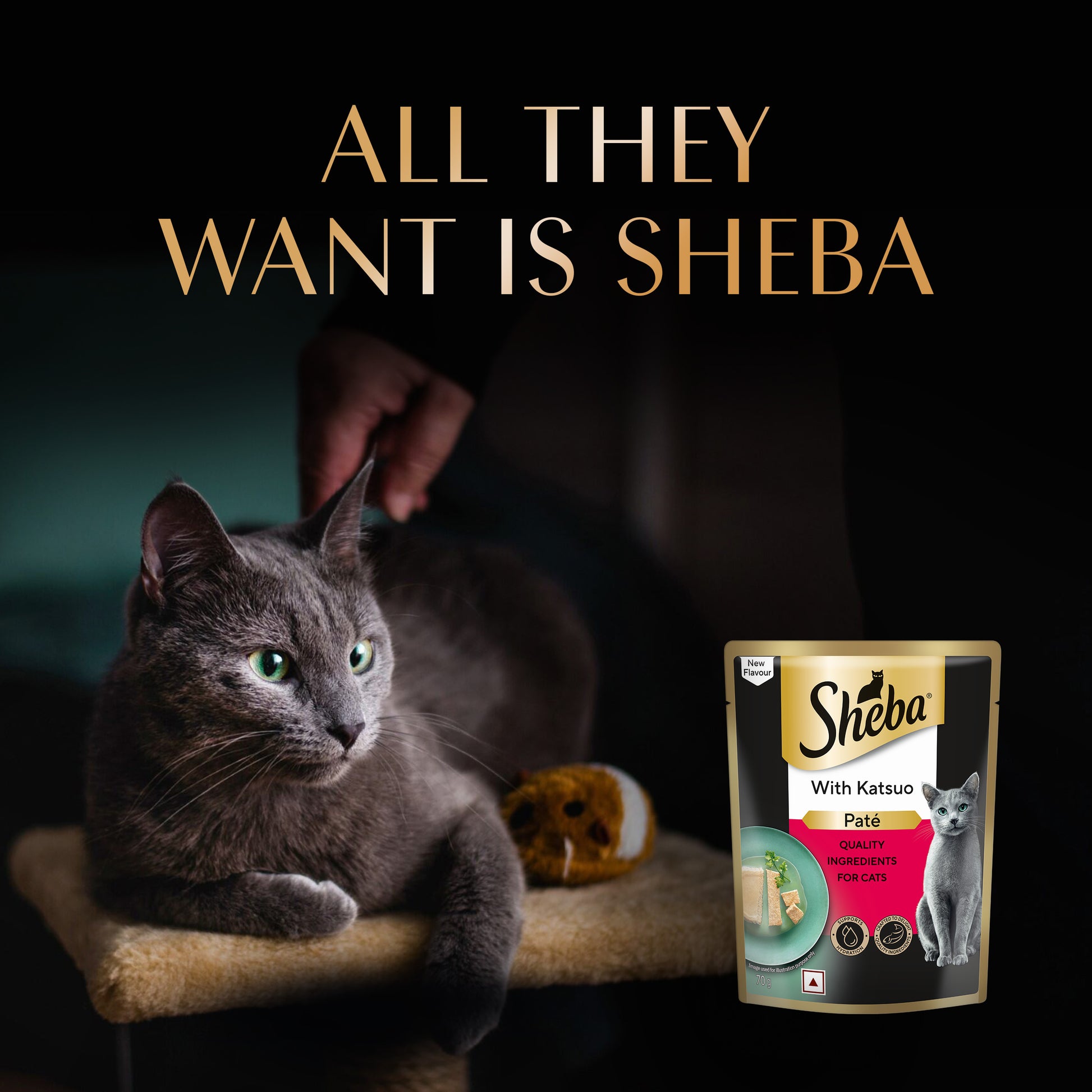 Sheba Katsuo Pate Wet Food For Adult Cat - 70 gm - Heads Up For Tails