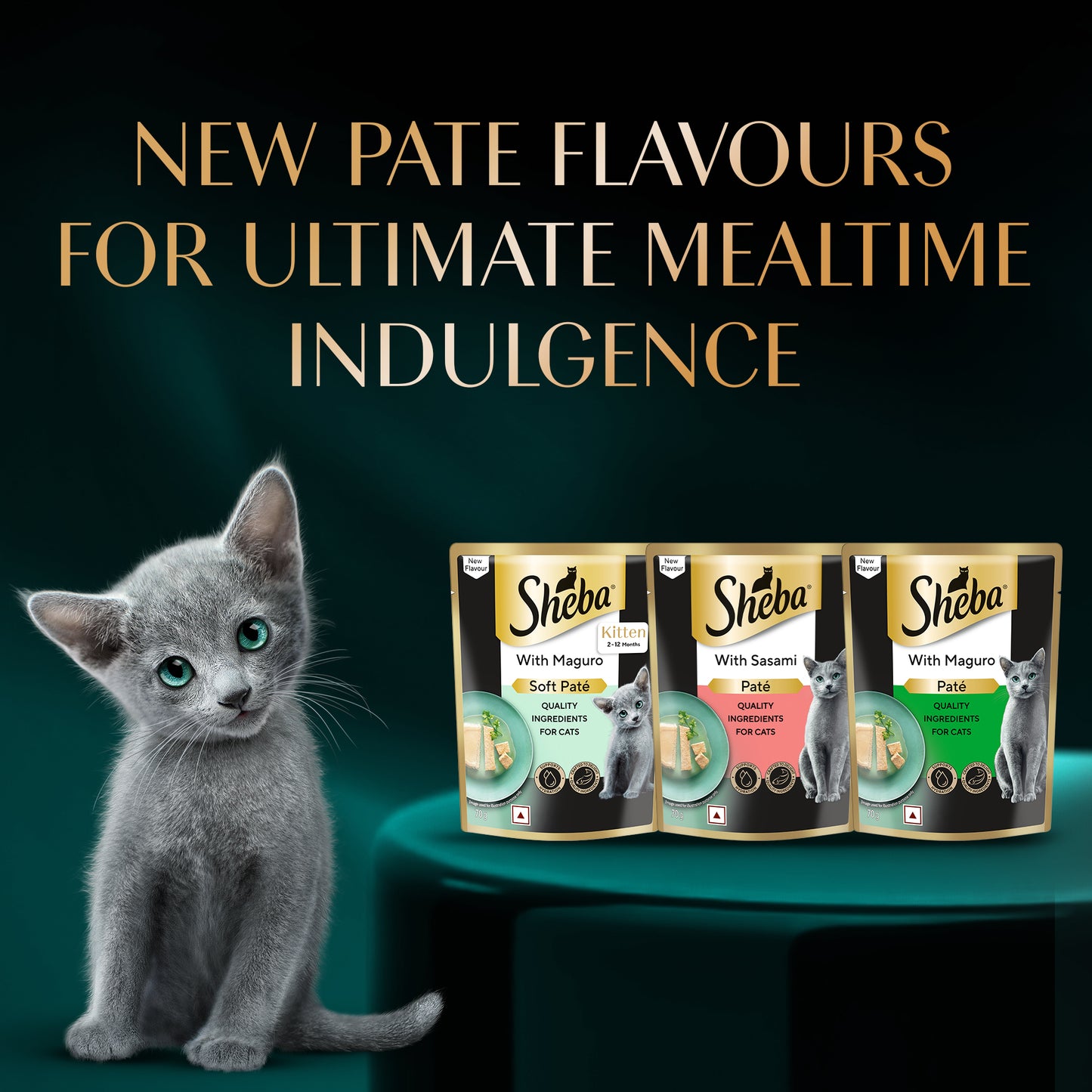 Sheba Maguro Pate Wet Food For Kitten - 70 gm - Heads Up For Tails