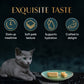 Sheba Maguro Pate Wet Food For Kitten - 70 gm - Heads Up For Tails