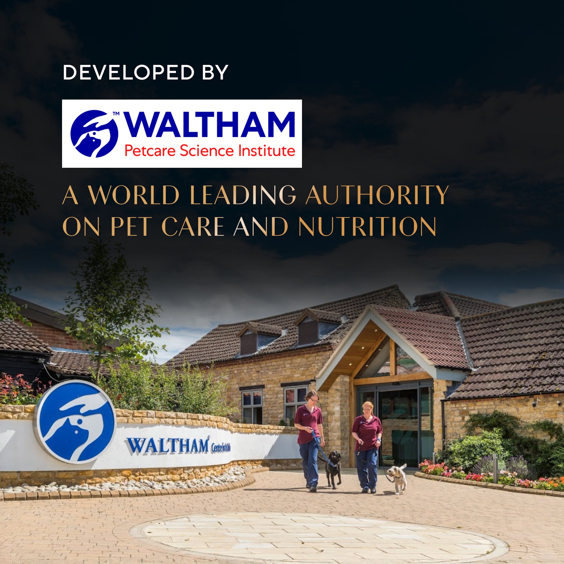 Sheba Maguro Pate Wet Food For Kitten - 70 gm - Heads Up For Tails