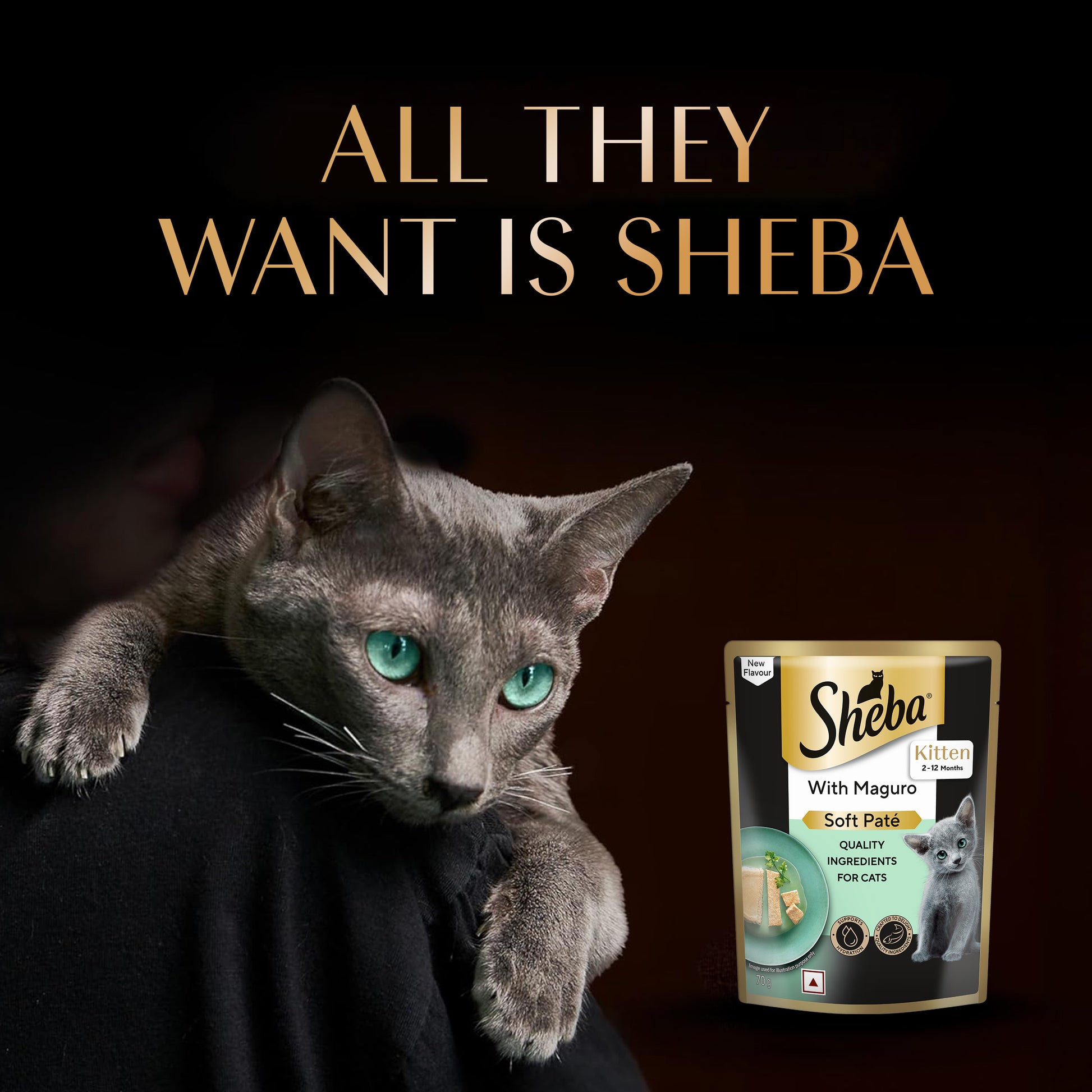 Sheba Maguro Pate Wet Food For Kitten - 70 gm - Heads Up For Tails