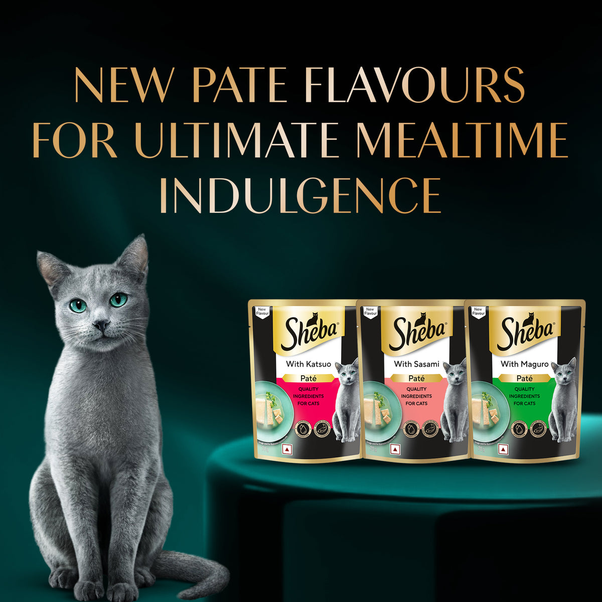 Sheba Sasami Pate Wet Food For Adult Cat - 70 gm - Heads Up For Tails