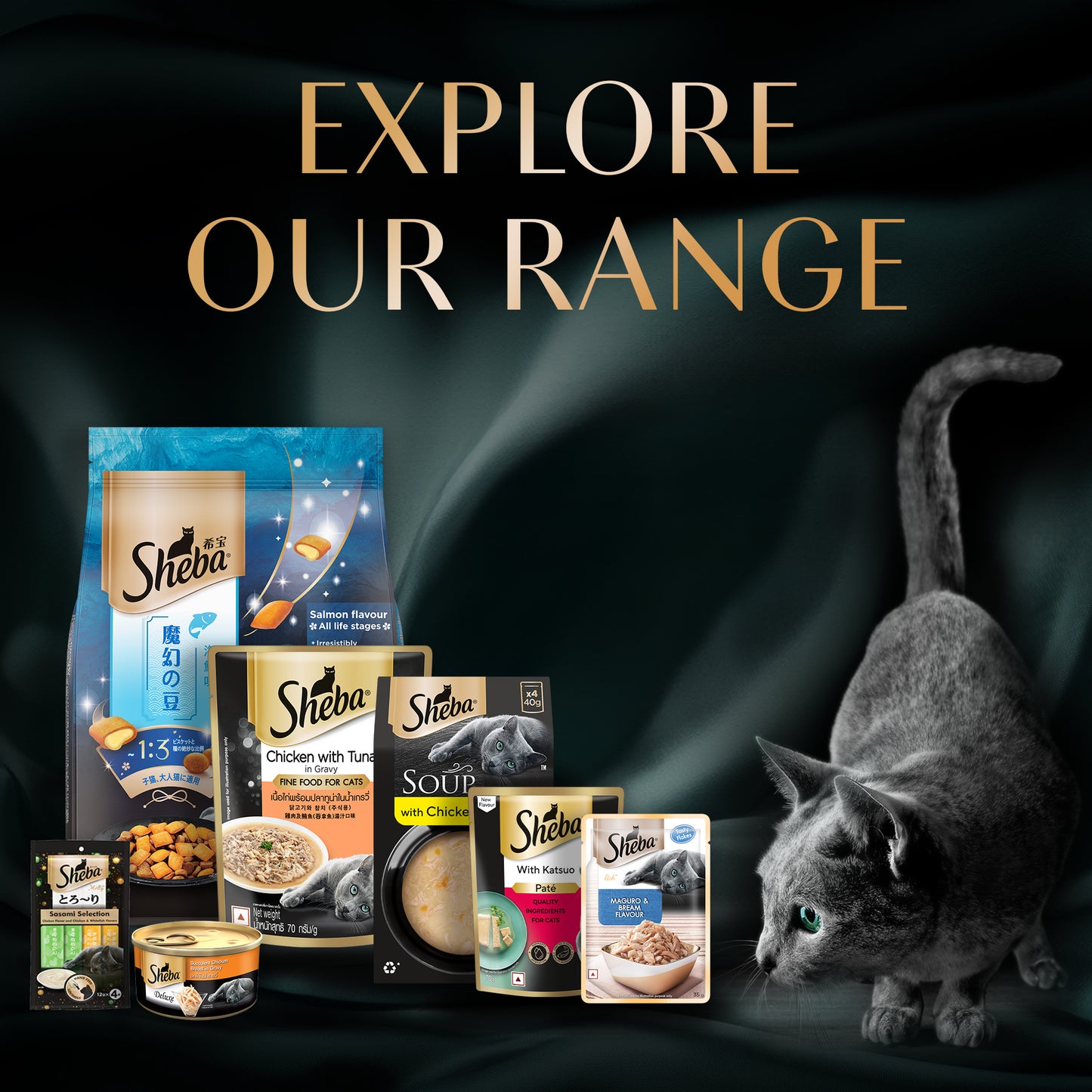 Sheba Sasami Pate Wet Food For Adult Cat - 70 gm - Heads Up For Tails