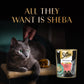 Sheba Sasami Pate Wet Food For Adult Cat - 70 gm - Heads Up For Tails