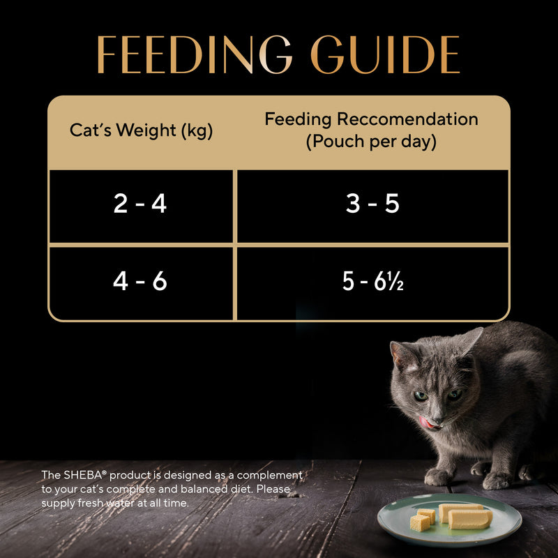 Sheba Sasami Pate Wet Food For Adult Cat - 70 gm - Heads Up For Tails