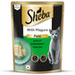 Sheba Maguro Pate Wet Food For Adult Cat - 70 gm - Heads Up For Tails