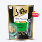 Sheba Maguro Pate Wet Food For Adult Cat - 70 gm - Heads Up For Tails