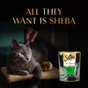 Sheba Maguro Pate Wet Food For Adult Cat - 70 gm - Heads Up For Tails