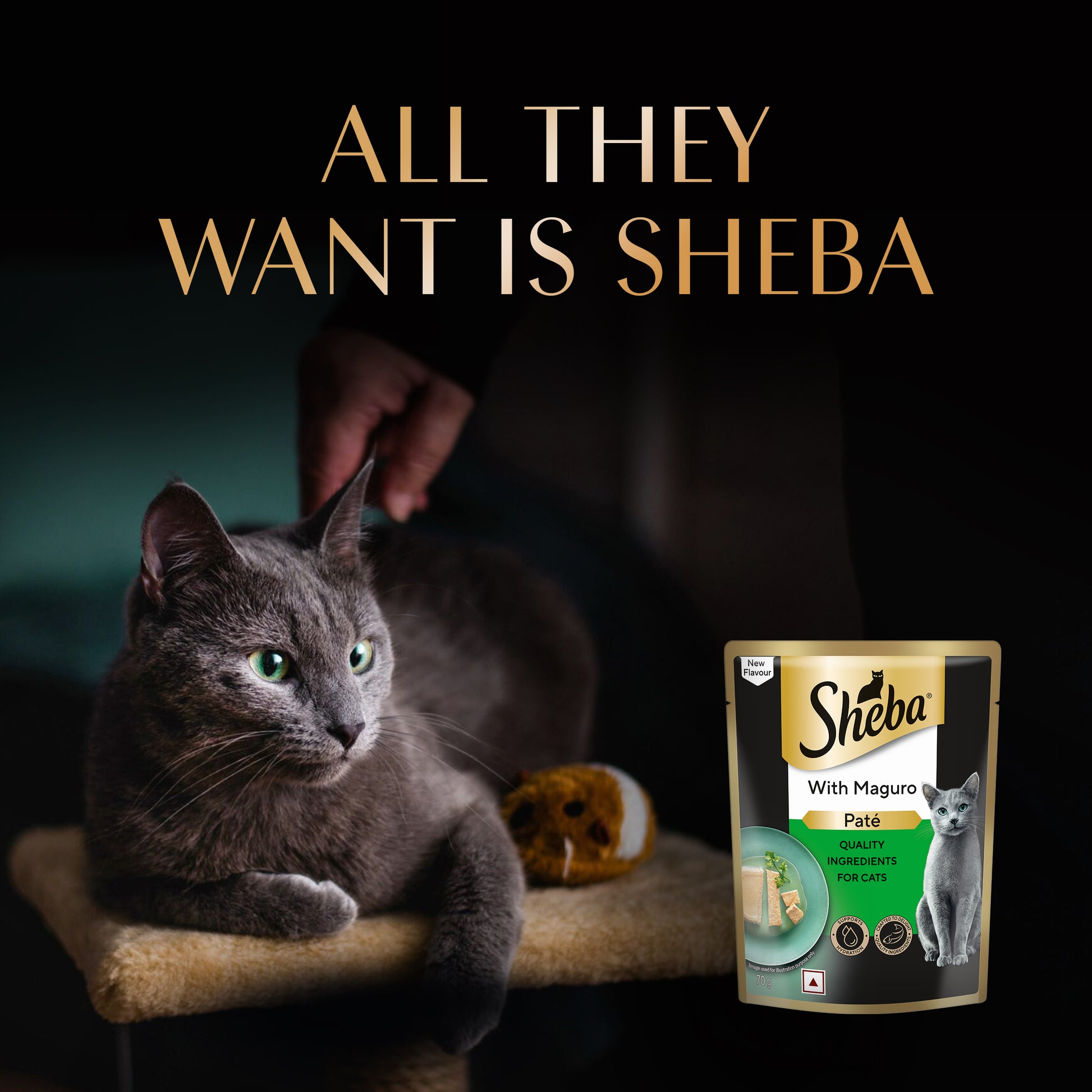 Sheba Maguro Pate Wet Food For Adult Cat - 70 gm - Heads Up For Tails