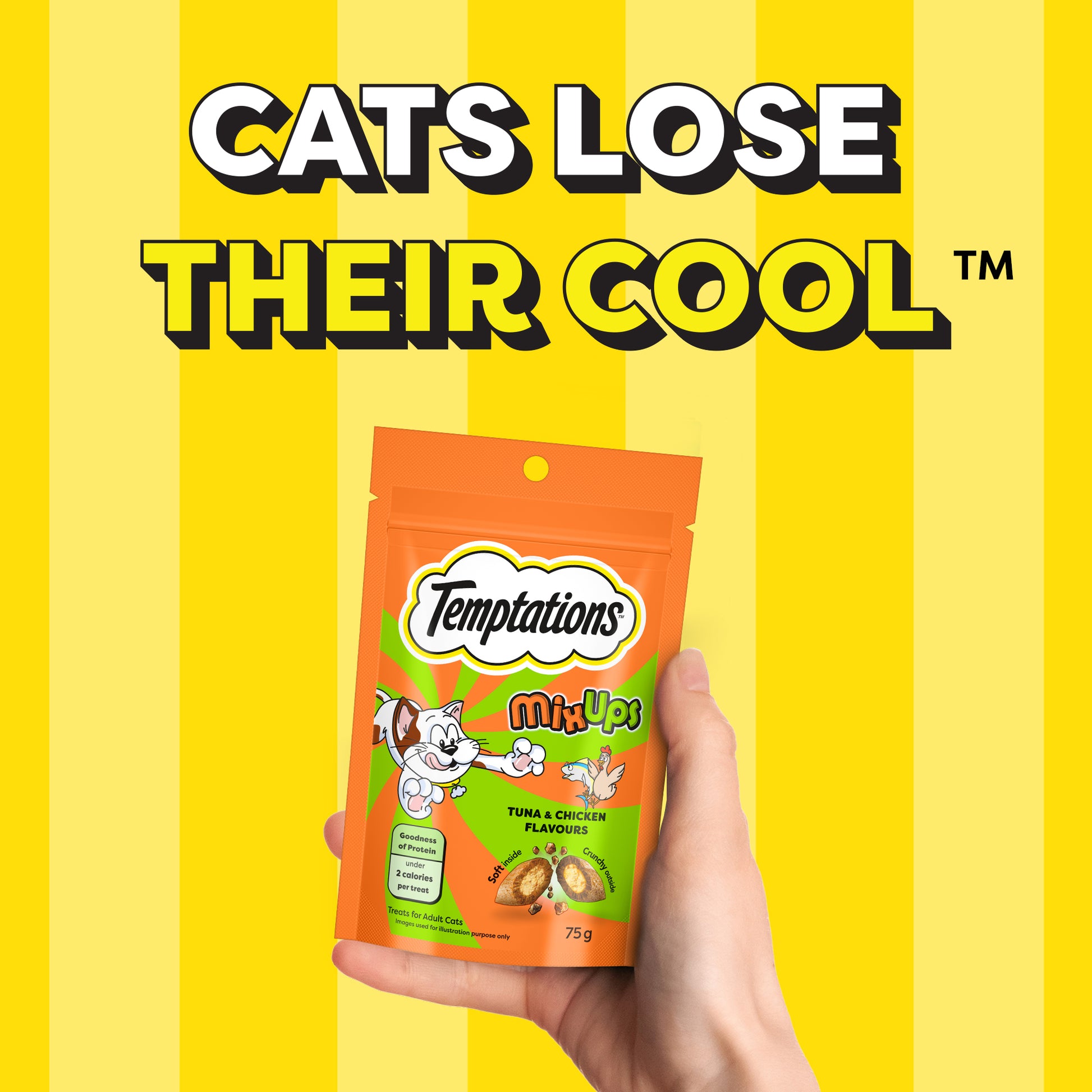 Temptations MixUps Tuna & Chicken Flavours Cat Treat - 75 g - Heads Up For Tails