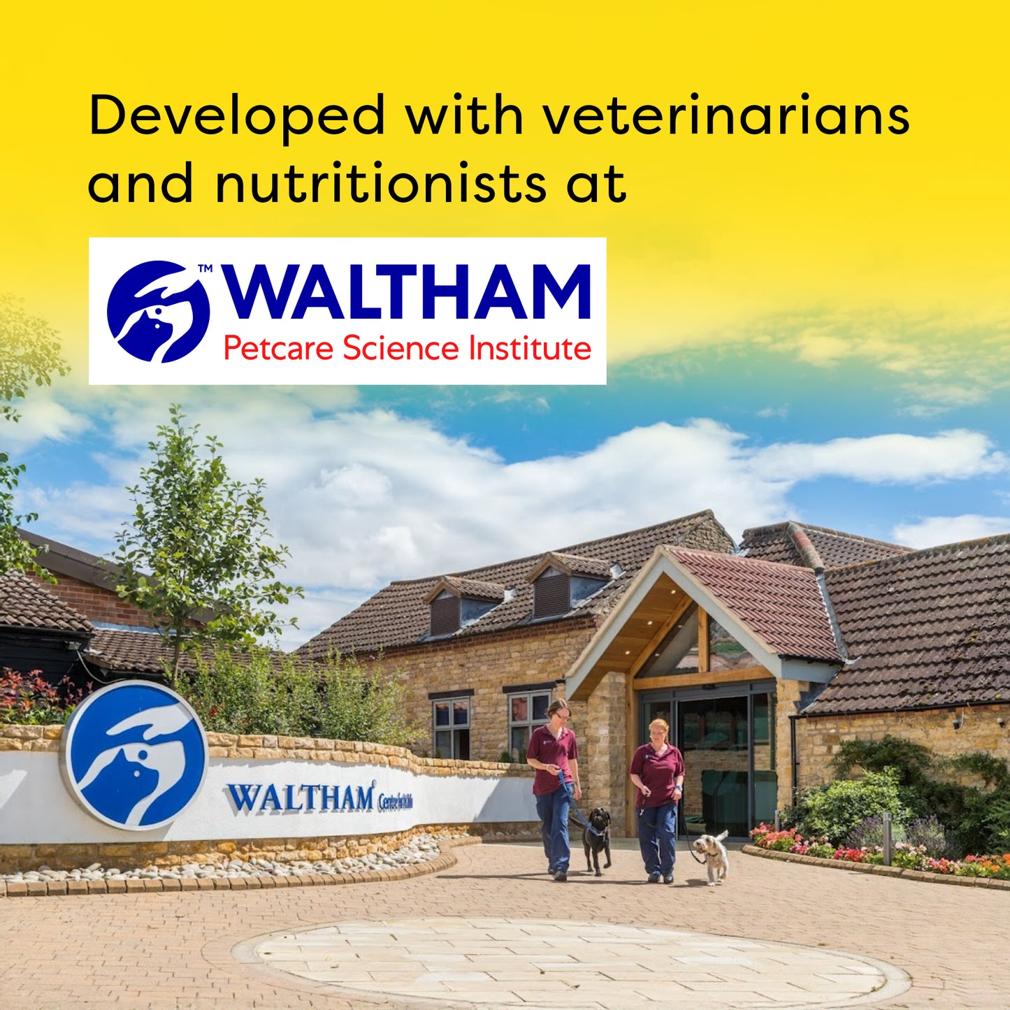 Temptations MixUps Tuna & Chicken Flavours Cat Treat - 75 g - Heads Up For Tails