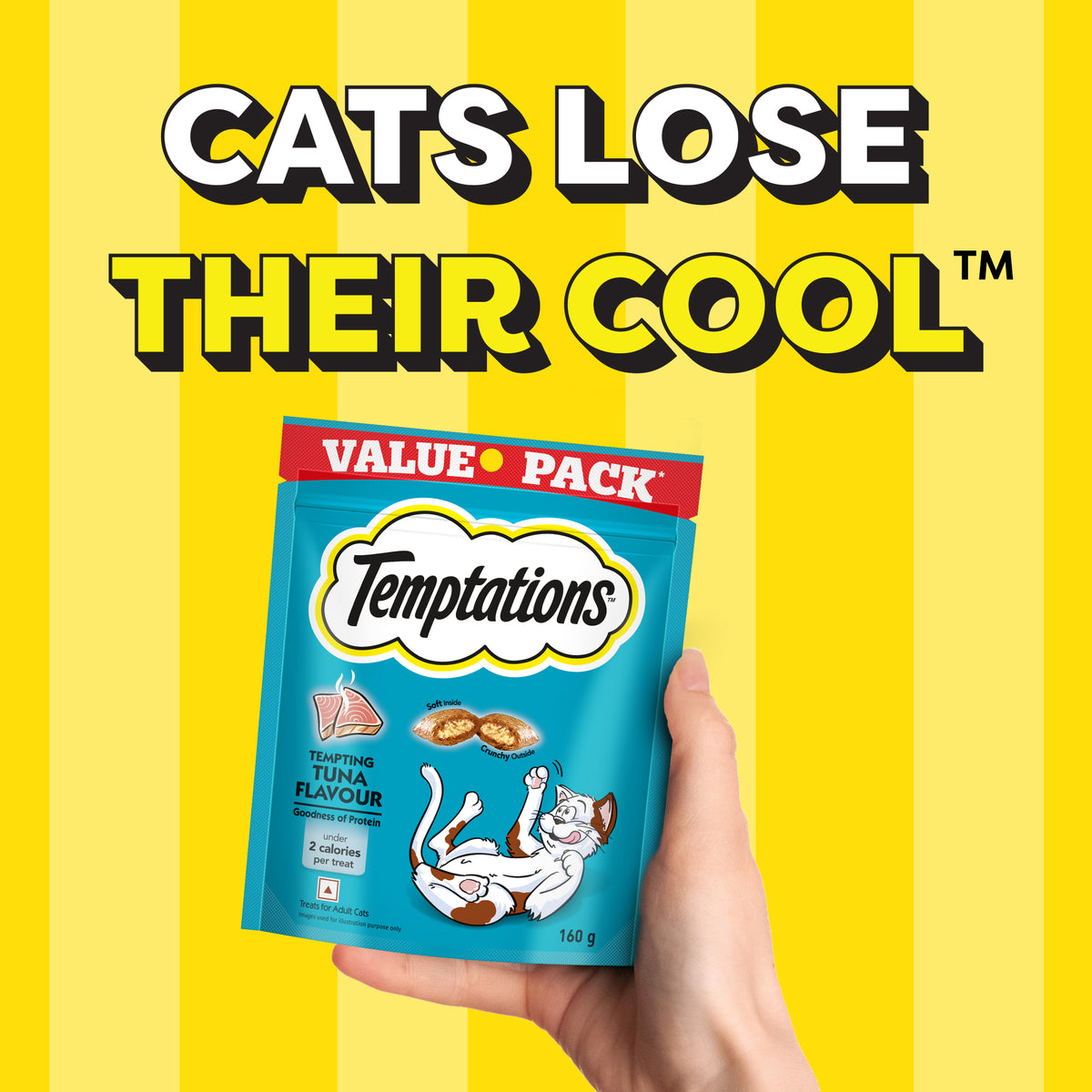 Temptations Tempting Tuna Flavour Cat Treat - 160 g - Heads Up For Tails