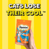 Temptations MixUps Chicken & Salmon Flavours Cat Treat - 75 g - Heads Up For Tails