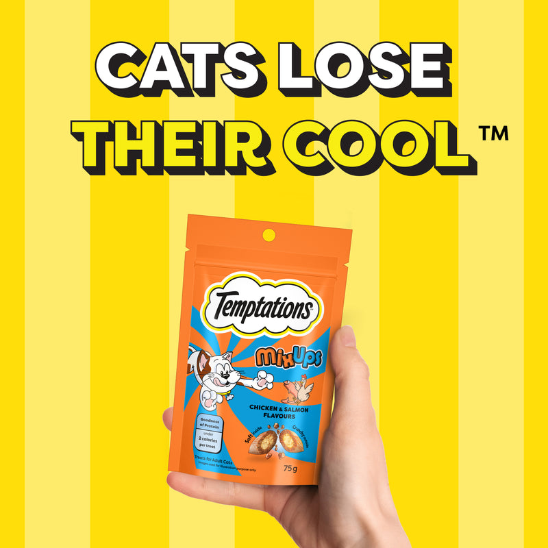 Temptations MixUps Chicken & Salmon Flavours Cat Treat - 75 g - Heads Up For Tails