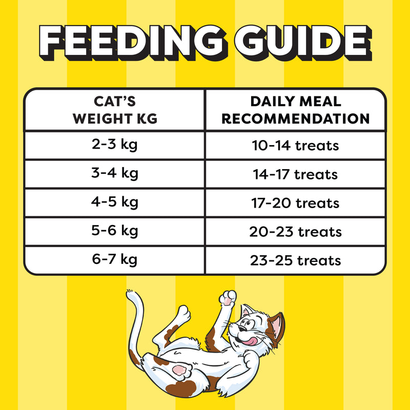 Temptations MixUps Chicken & Salmon Flavours Cat Treat - 75 g - Heads Up For Tails