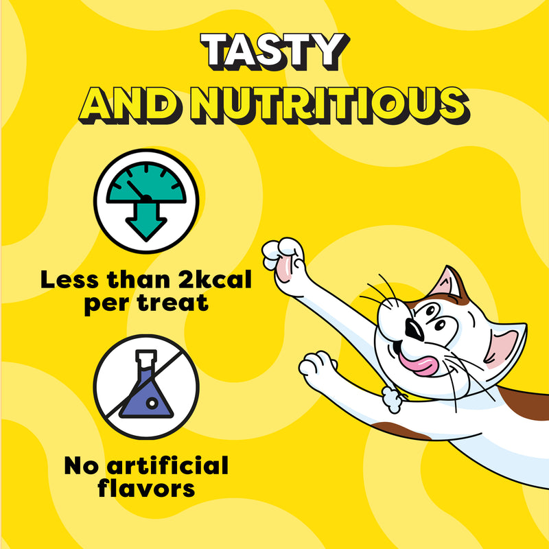 Temptations MixUps Chicken & Salmon Flavours Cat Treat - 75 g - Heads Up For Tails