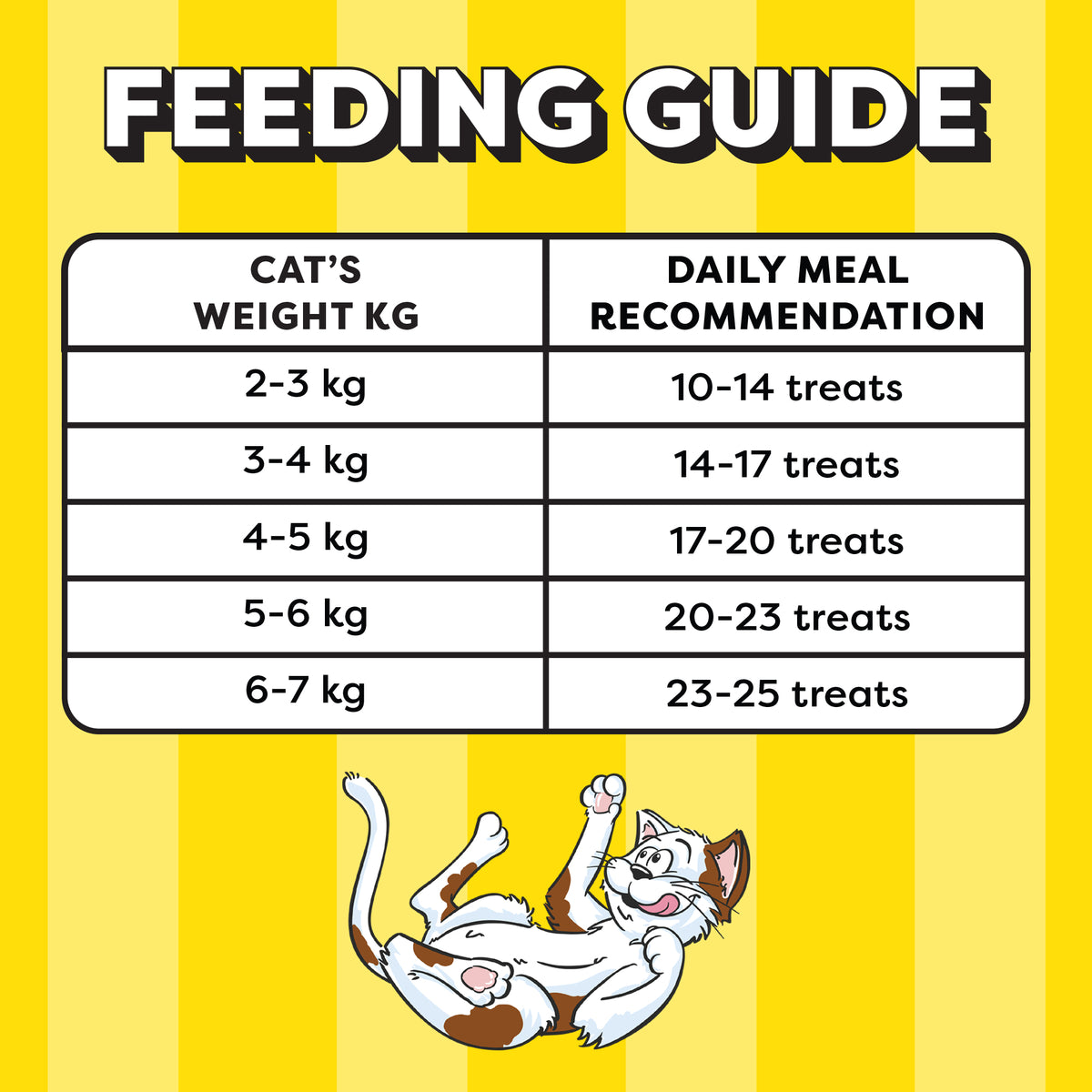 Temptations Tasty Chicken Flavour Cat Treat - 160 g - Heads Up For Tails