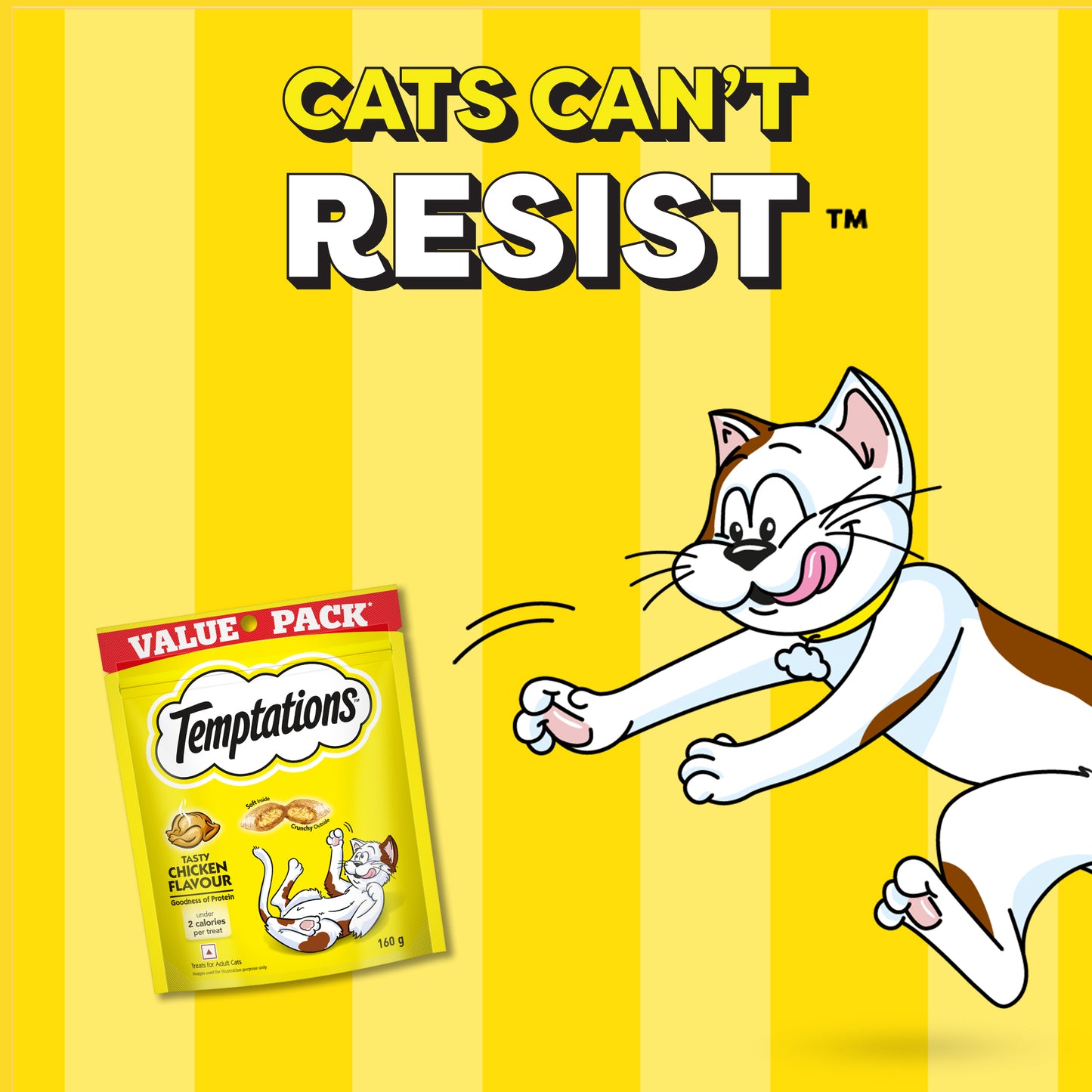 Temptations Tasty Chicken Flavour Cat Treat - 160 g - Heads Up For Tails