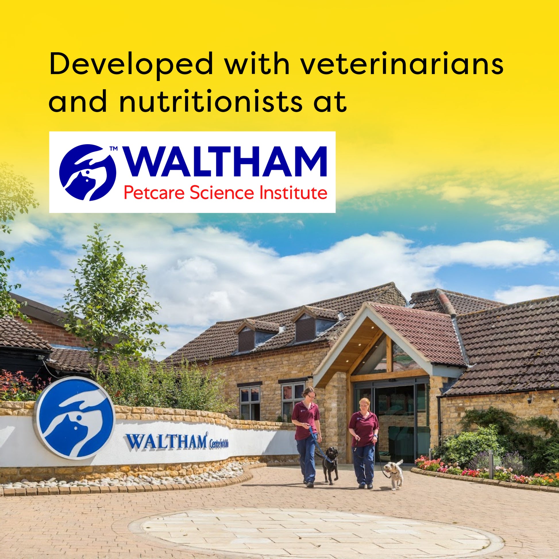 Temptations Tasty Chicken Flavour Cat Treat - 160 g - Heads Up For Tails