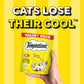 Temptations Tasty Chicken Flavour Cat Treat - 160 g - Heads Up For Tails