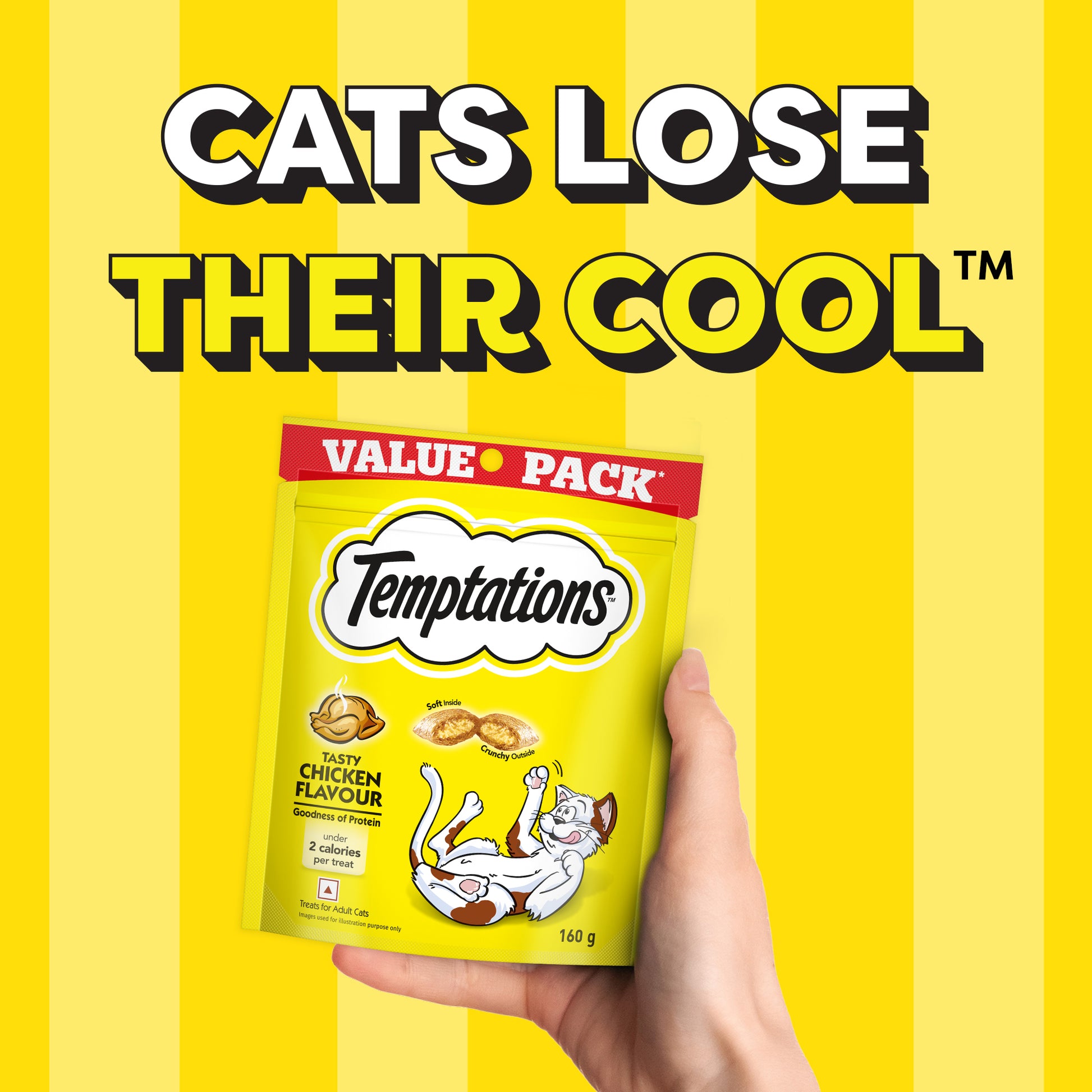 Temptations Tasty Chicken Flavour Cat Treat - 160 g - Heads Up For Tails