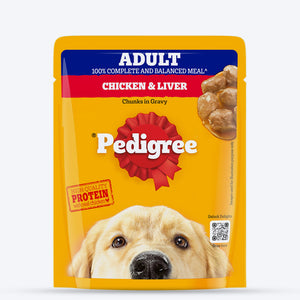 Pedigree Chicken & Liver Chunks in Gravy Adult Wet Dog Food - 70 g packs - Heads Up For Tails