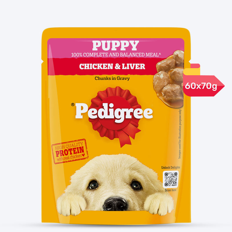 Pedigree Chicken & Liver Chunks in Gravy Wet Puppy Food - 70 g packs - Heads Up For Tails