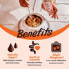 Kennel Kitchen Fish with Pumpkin Supreme Cuts In Gravy Wet Dog Food - 130 g Packs - Heads Up For Tails