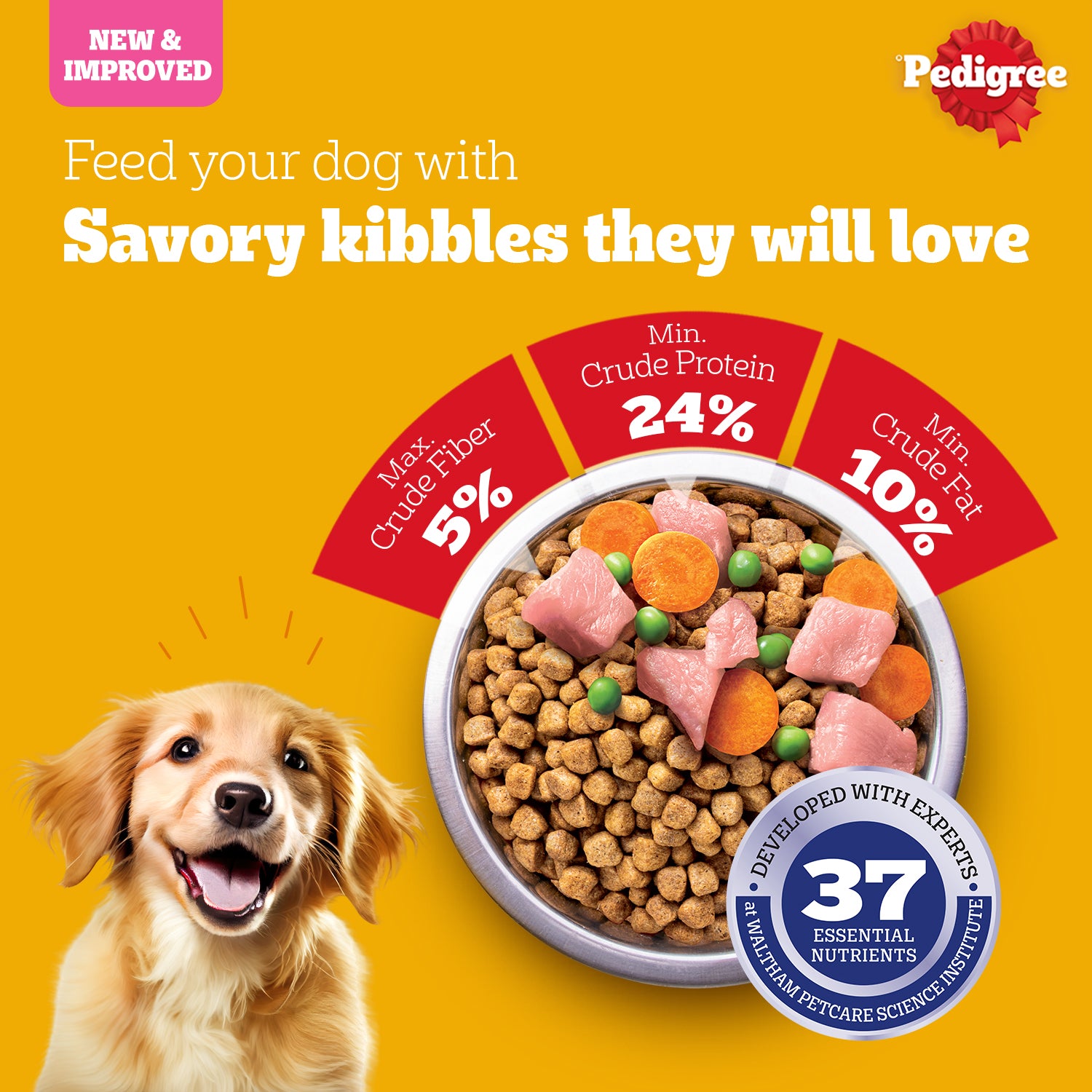 Pedigree Chicken Milk Dry Puppy Food