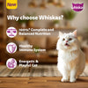 Whiskas Persian (3 In 1) Hair Solution Dry Food For Adult Cat - Heads Up For Tails