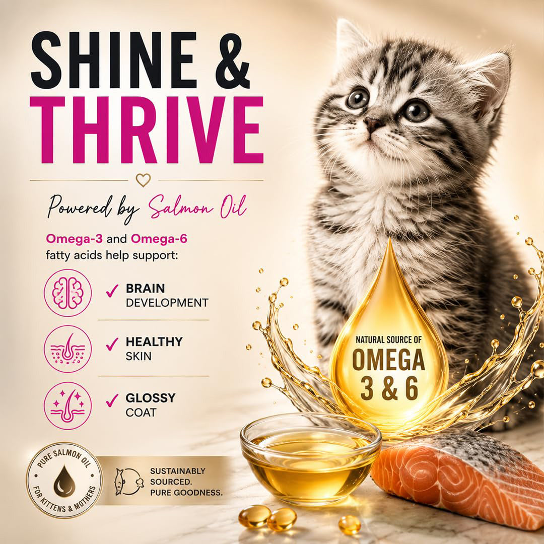 Signature Grain Zero Ocean Fish Sardine & Mackerel Mother & Kitten Dry Cat Food - 7 kg