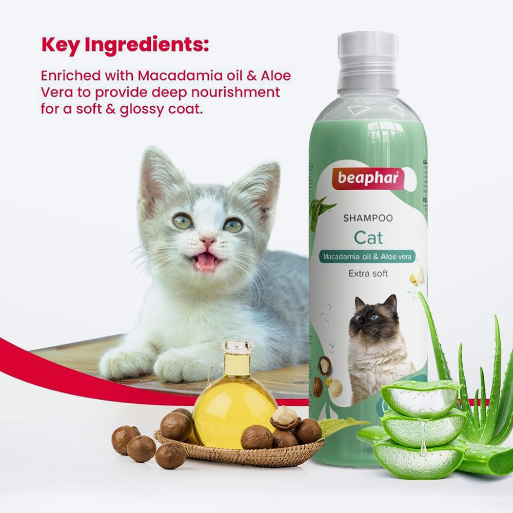 Beaphar shampoo for cats hotsell