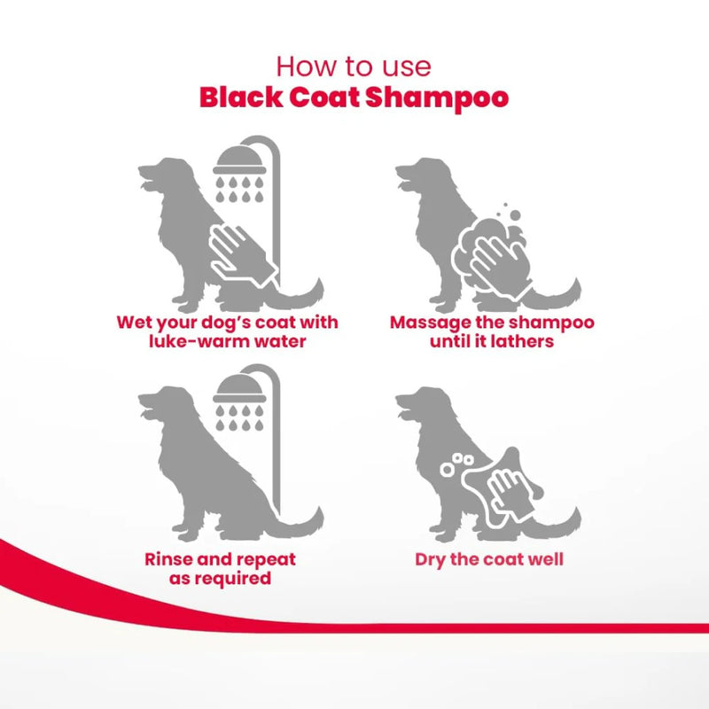 Beaphar Black And Shiny Coat Shampoo - For Dog  Aloe Vera - 250 ml - Heads Up For Tails