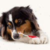 Beaphar Toothpaste For Dogs & Cats- 100 gm - Heads Up For Tails