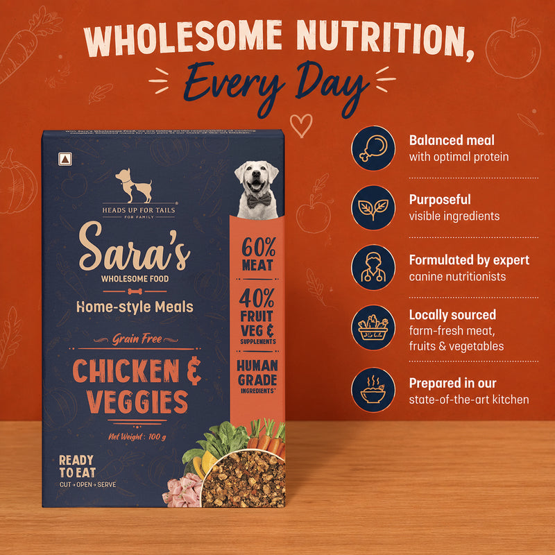 HUFT On-the-Go Essentials For Dogs