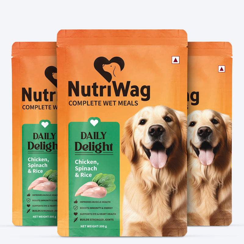 8906186431909-Pack of 3