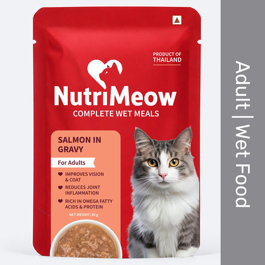 NutriMeow Salmon In Gravy Wet Food For Adult Cat - 80 gm