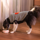 HUFT Sweetheart Stripe Sweater For Dog - Black & White - Heads Up For Tails