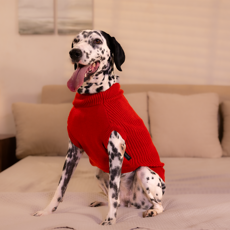 HUFT Berry Merry Sweater For Dog - Red - Heads Up For Tails