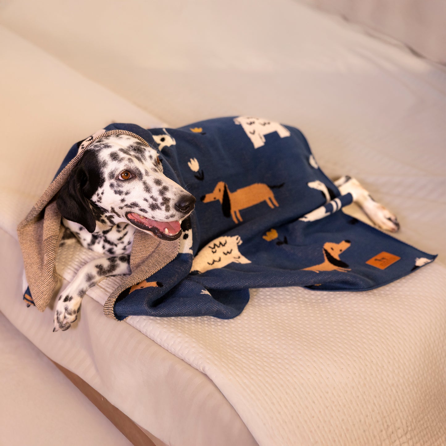 HUFT Bark & Bloom Blanket For Dog - Blue - Heads Up For Tails