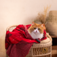 HUFT Cuddle Checks Blanket For Dog & Cat - Red - Heads Up For Tails