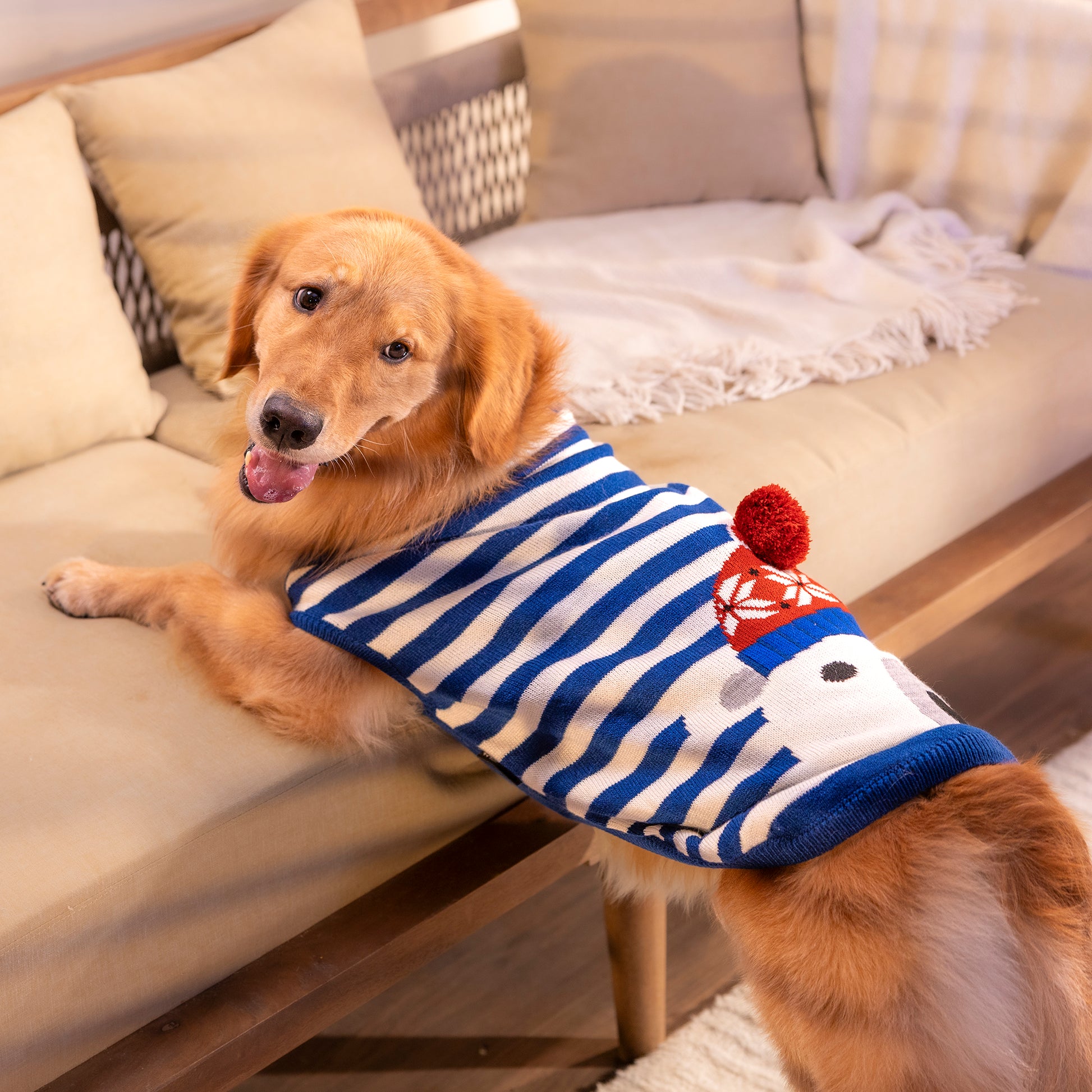 HUFT Polar Bear Striped Sweater For Dog - Multicolor - Heads Up For Tails