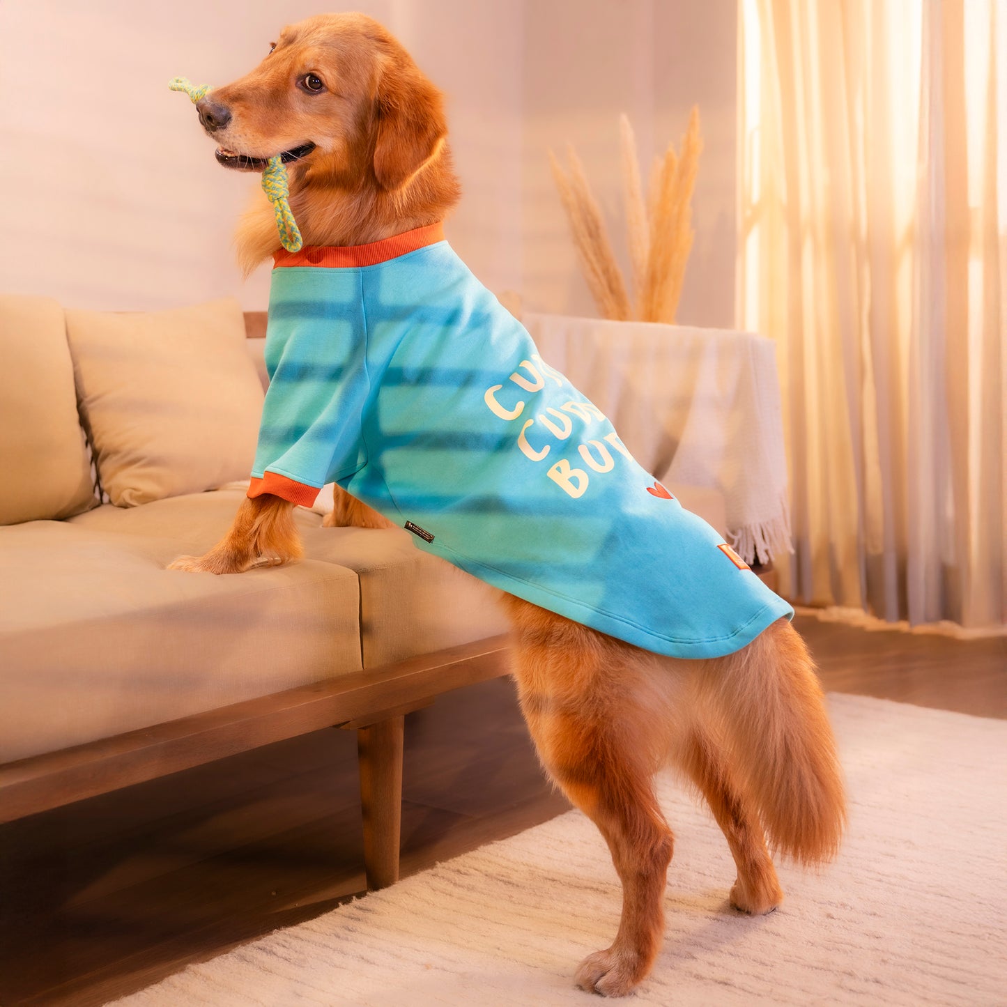 HUFT Cutest Cuddle Buddy Sweatshirt For Big Dog - Teal - Heads Up For Tails