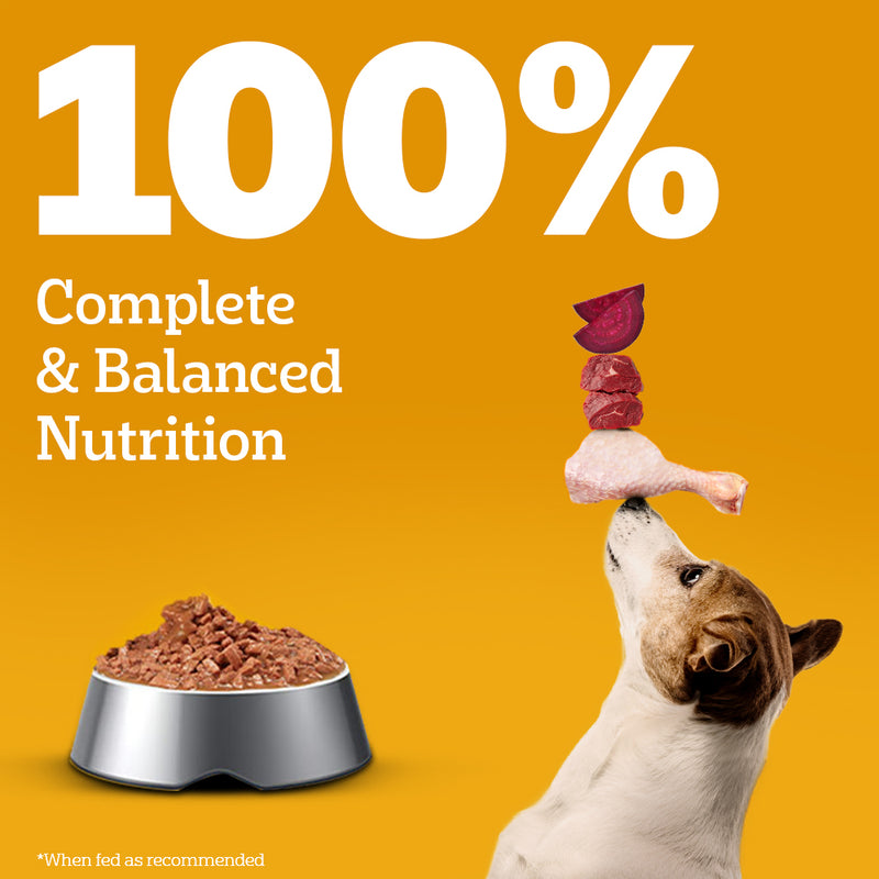 Pedigree Chicken & Liver Chunks In Gravy Adult Dog Wet Food - 130 g - Heads Up For Tails