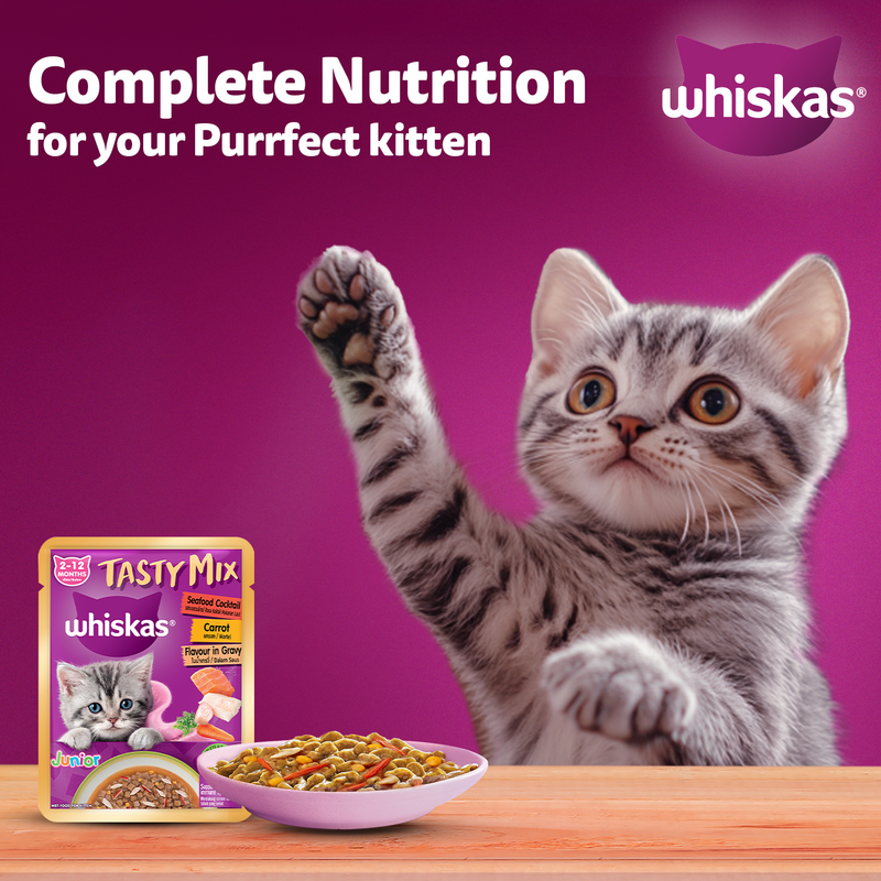 Whiskas Tasty Mix Seafood Cocktail With Carrot In Gravy Wet Food For Junior (2-12 Months) Kitten- 70 gm Pack - Heads Up For Tails