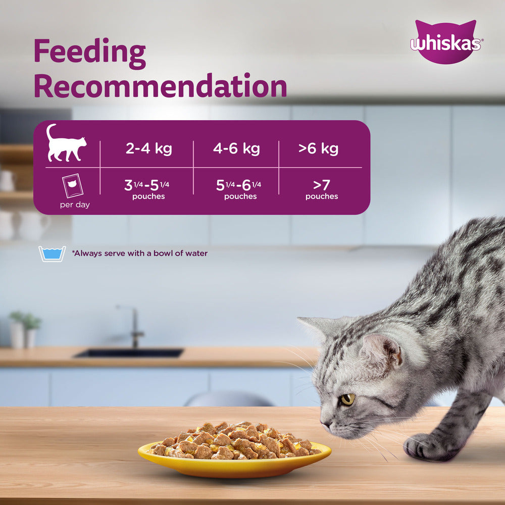 Whiskas Chicken in Gravy (1+ Years) Wet Food For Adult Cat - 80 gm Pack