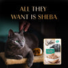 Sheba Fish With Dry Skipjack Flake Adult Cat Wet Food - 35 gm Packs